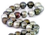 Tahiti Pearl Necklace